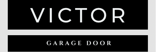 victor.webnow logo